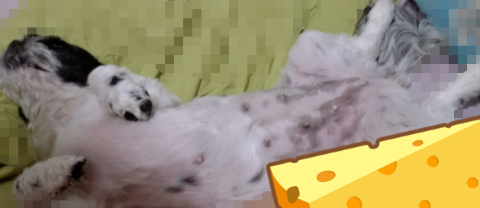  열심히 일해야하는 이유!!!