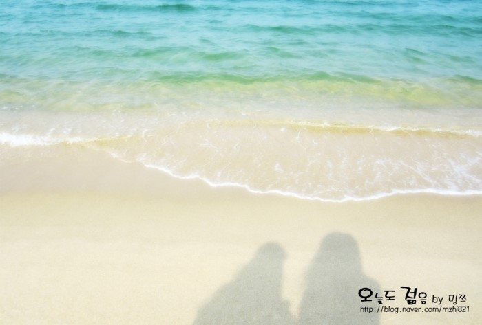  [강릉여행/당일치기] 커피거리로 유명한 안목해변 