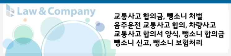 음주운전 뺑소니 합의금 어떻게 정할까? 6
