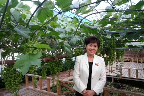 인성드림교육원 이미지