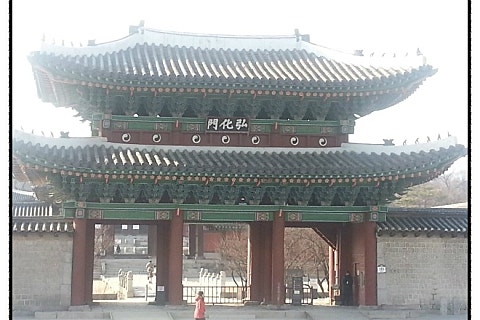 김진영행정사사무소 이미지