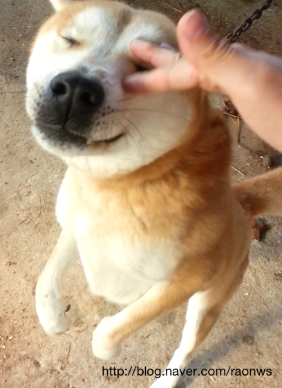  누룽이와 복길이의 결실