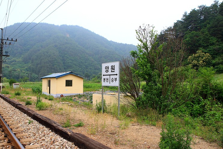 역 양원 다음 부동산