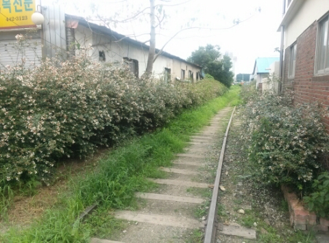  혼자서 육수 뽑으며 군산여행하기