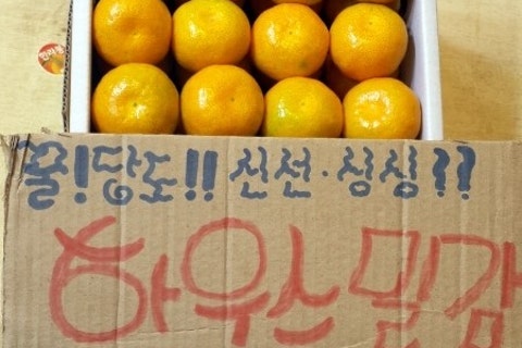 동일청과 이미지