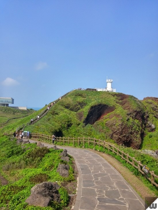 [제주도 서귀포시] 시원한 바닷바람을 맞으며 산책할 수 있는 "섭지코지"