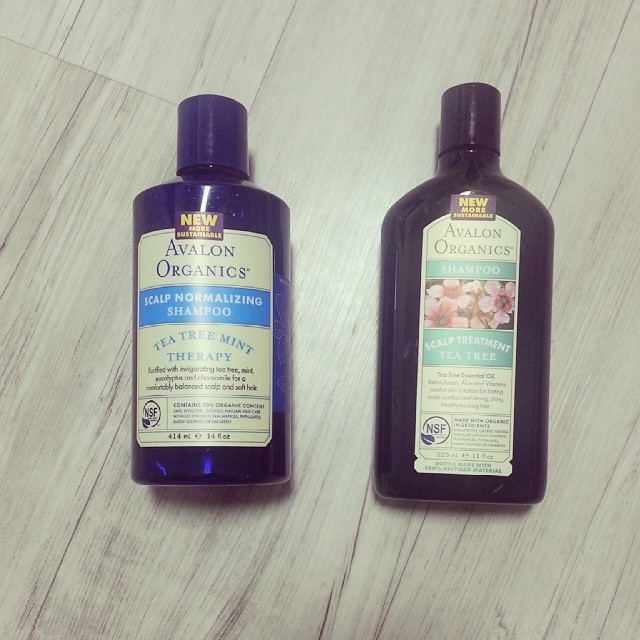  민감성 두피 고민 해결!! 아발론 오가닉 티 트리 민트샴푸(AVALON Oragnics scalp normalizing shampoo tea tree mint) - 아이허브 구매