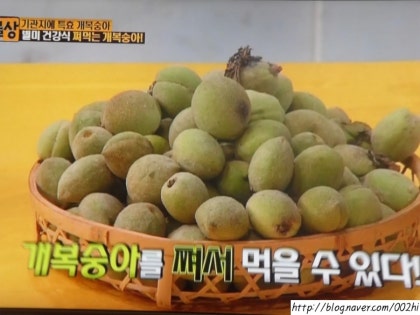 기관지에 좋은 천도효소의 효능과 부작용, 섭취방법을 종합적으로 정리하였습니다. 2