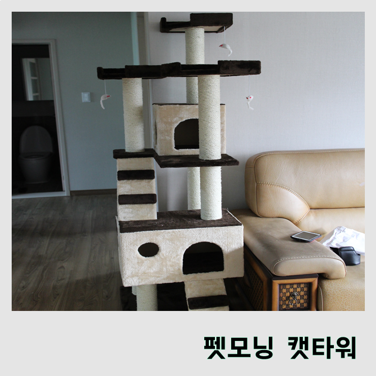  [가루] 펫모닝 캣타워 :: 가루에게 새 놀이터가 생기다 :: 캣타워 추천 :: 펫모닝 캣타워 조립법
