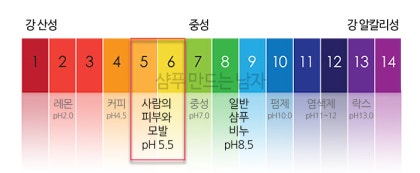 샴푸추천, 볼트산성샴푸에 다 이유가 있네요 :)
