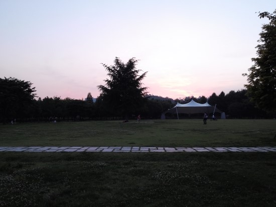  서울숲 넓은 잔디밭