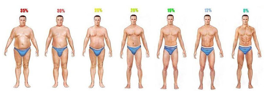 여자 남자 체지방률에 따른 몸매 변화 + [비만도 계산기] : 네이버 블로그