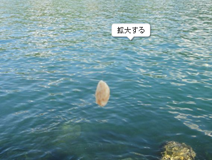 일본의 벵에돔 빵가루조법 パン粉釣法 이것 저것 ㅋ 네이버 블로그