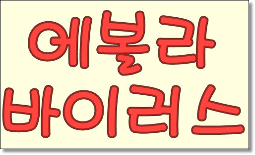  서아프리카 에볼라바이러스확산 백신없는무서운전염병