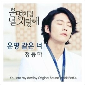 운명처럼 널사랑해 ost 정동하'운명 같은 너'[노래/가사/영상/사진]