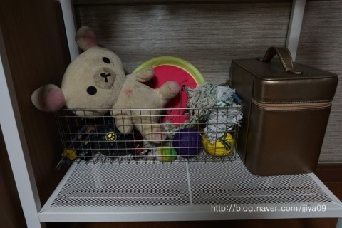  시바견 아리+호랑 ㅣ 장난감