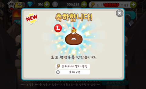 쿠키런 초코 왕방울 펫 후기 쿠키런 초코 왕방울 펫 후기