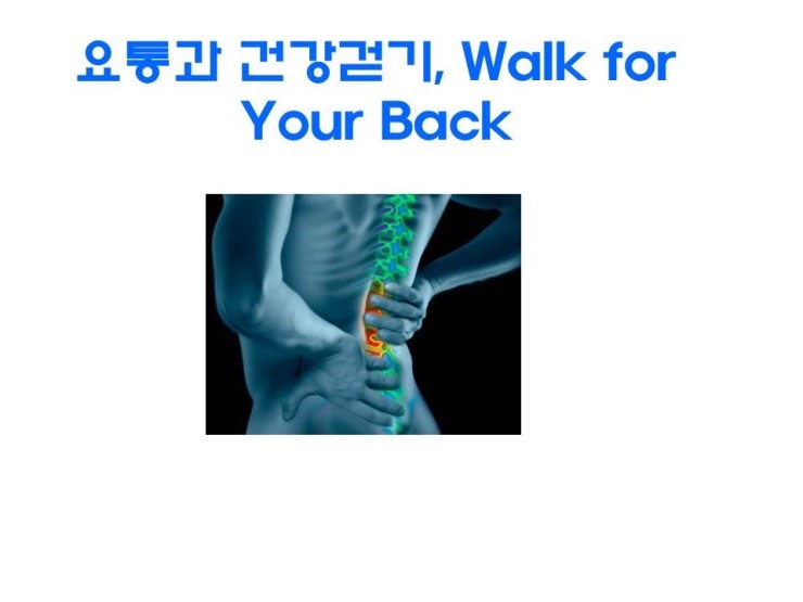  24hrs_건강 걷기와 요통