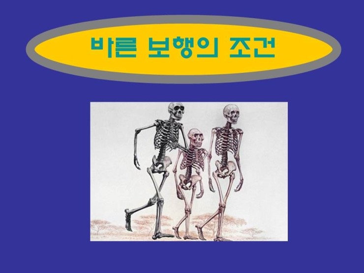  24hrs가 바른 보행의 조건을 갖춘 건강 신발입니다.