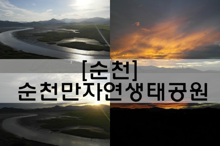  [순천 여행]내 생애 최고의 일몰, 순천만자연생태공원