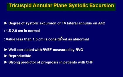 Validation of the Tricuspid Annular Plane Systolic Excursion