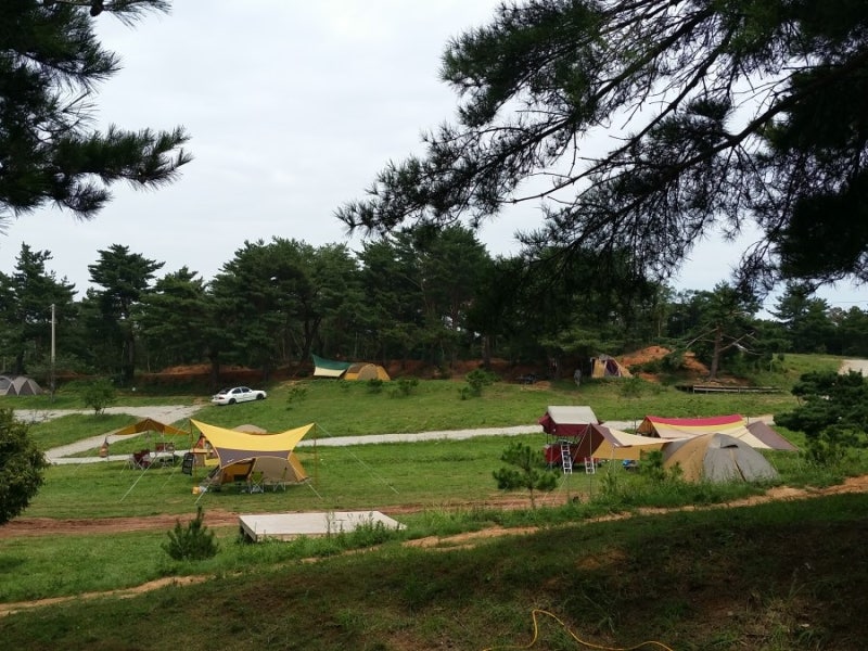 정동진에 가면 꼭 가봐야할 곳, 해돋이캠핑장
