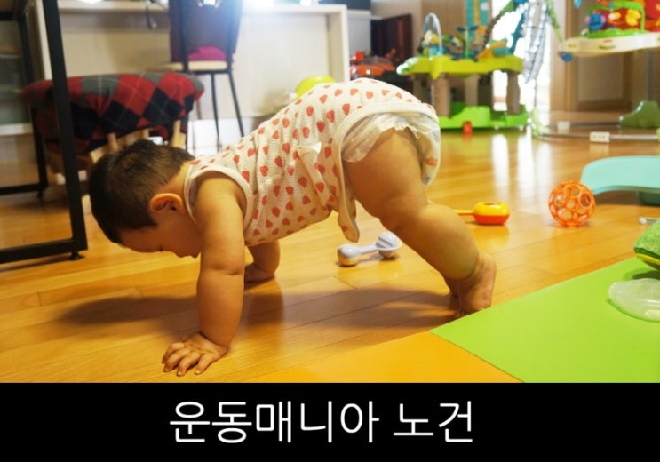 [d-218] 운동매니아 <b>노건</b> / 아기앉는시기