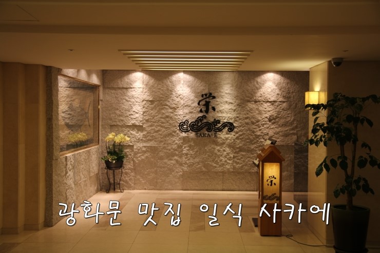  [광화문 맛집] 광화문 데이트 사카에