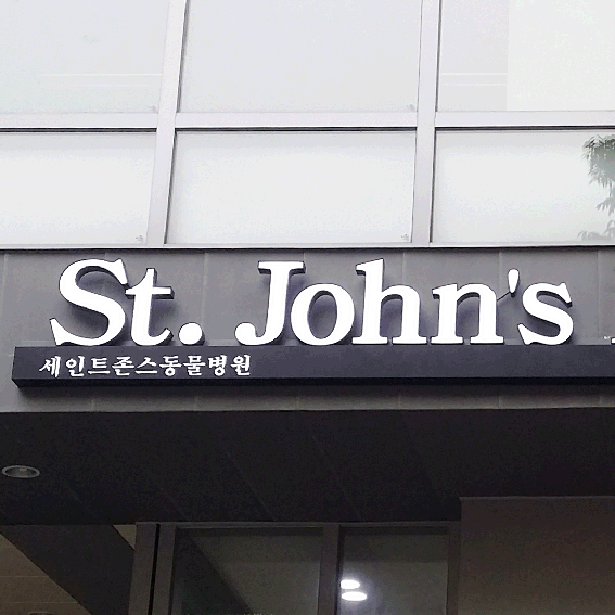  애견카페 같은 분위기의[ 세인트 존] 동물병원