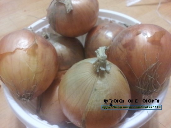  몸에 좋은 양파의 효능(양파즙효능)