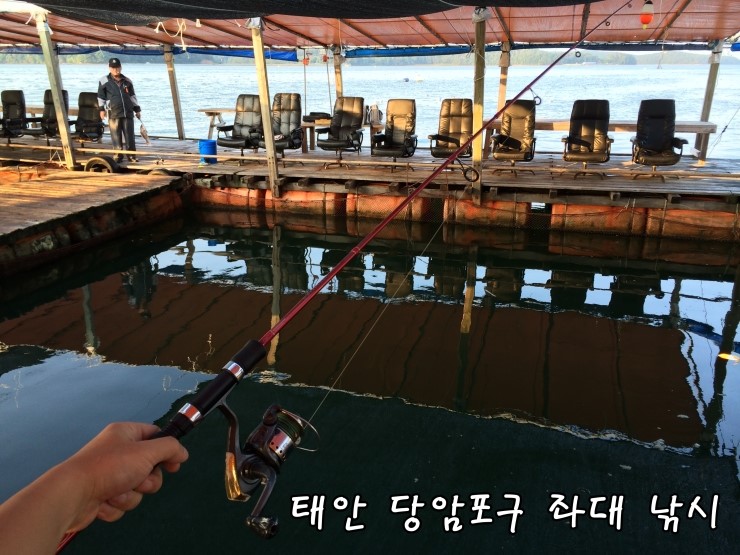  [태안낚시] 당암포구 좌대낚시