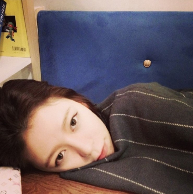  아프리카TV /BJ /마성의 사슴 /존예 /인스타그램 /4343282 /고양이