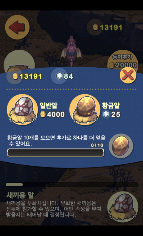 드래곤 플라이트 새끼용 케일(전설)/아리스(희귀)무기 강화 드래곤 플라이트 새끼용 케일(전설)/아리스(희귀)무기 강화