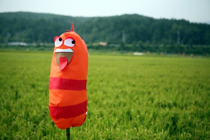  허수아비 전시
