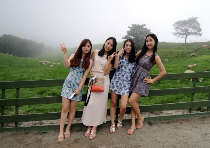  강원도여행/강릉여행 - 대관령양떼목장 + 정동진 + 안목항 커피거리 알찬 강릉여행 1째날 1탄!