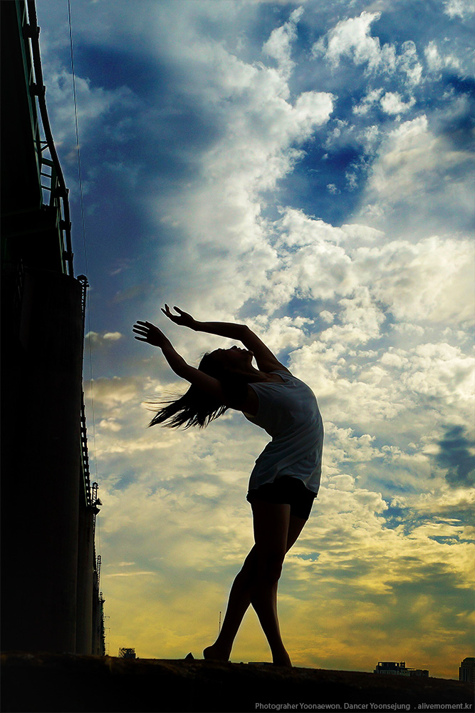  # 2014 silhouette