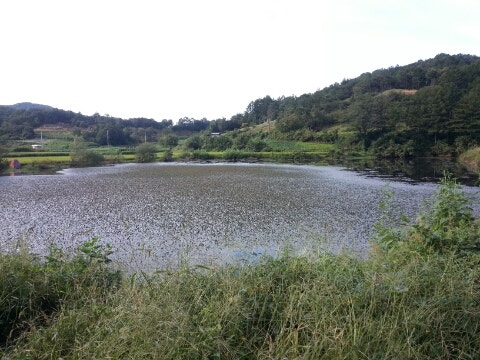 통미산 사진 1