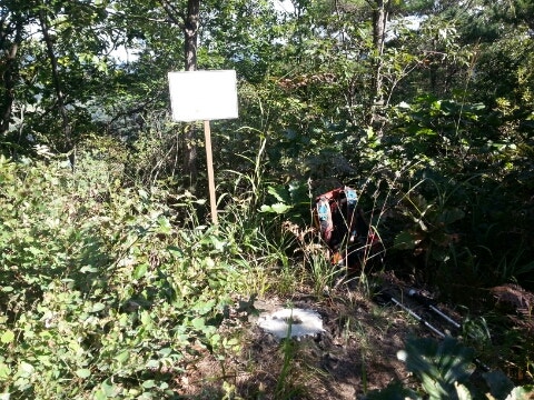 통미산 사진 3