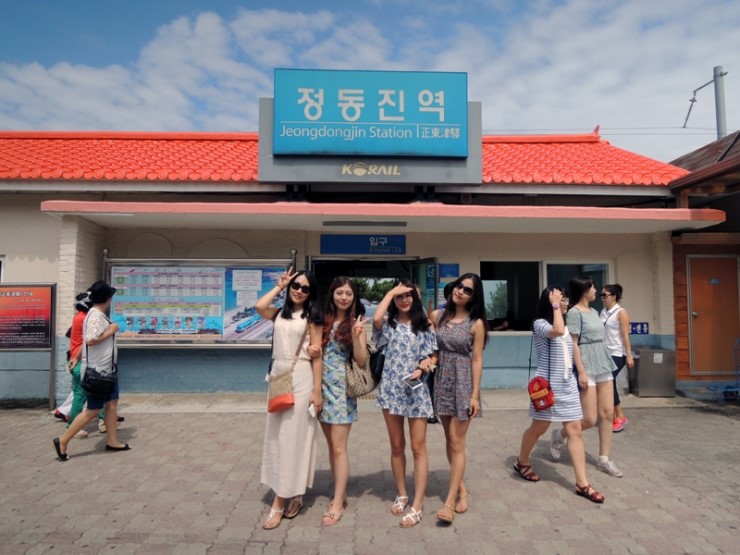  강원도여행/강릉여행 대관령 양떼목장 + 정동진 + 커피거리 2타안!