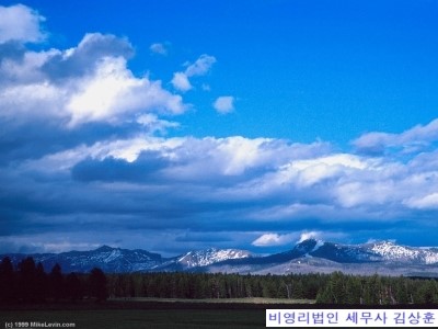  재단법인, 사단법인 고유목적사업준비금의 사용대상[비영리법인]