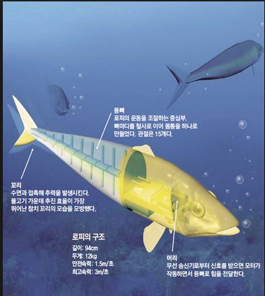  직감의 중요성 (로봇 물고기)