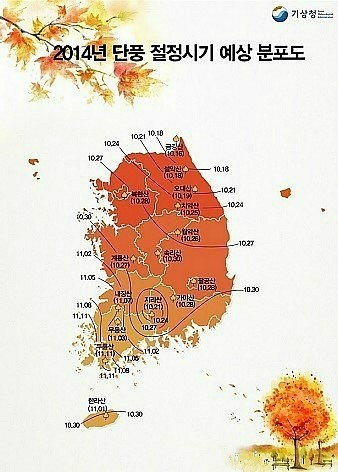 2014년 단풍 절정시기 & 단풍축제