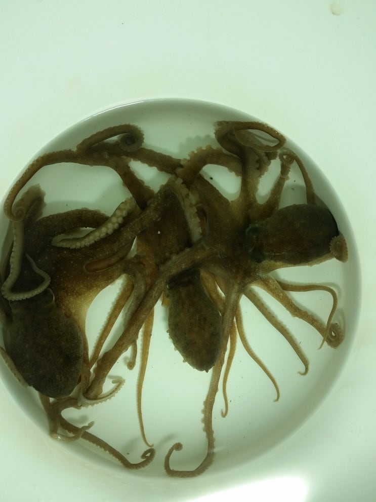  부모님과 함께 구x 해루질
