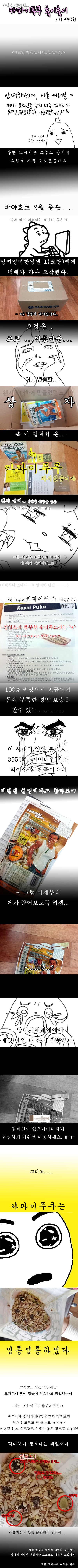  카파이푸쿠 체험후기! (feat. 올레아)