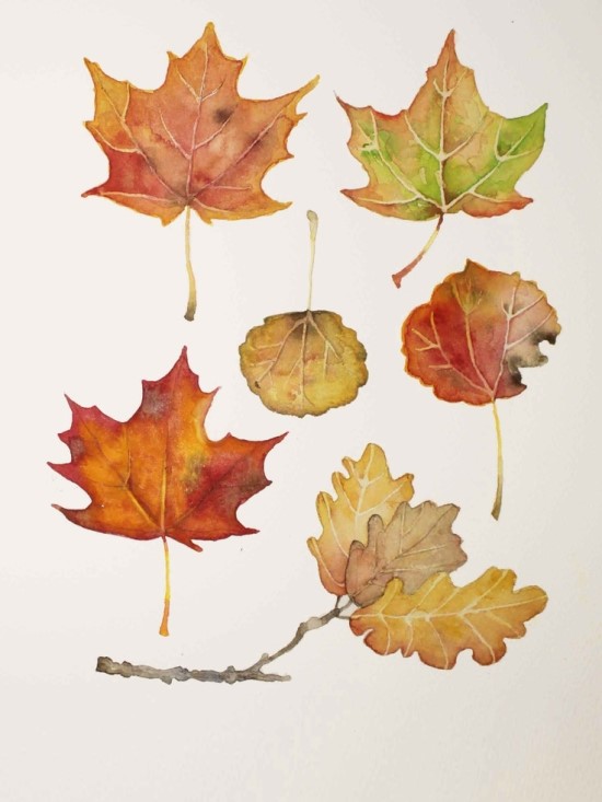 낙엽 가을나뭇잎도안 / 낙엽일러스트Leaves Illustration : 네이버 블로그