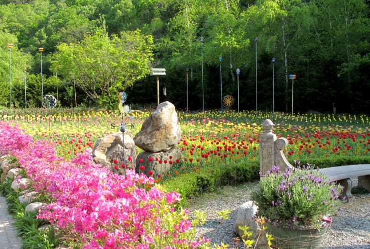  2014.05.17 강원도여행 [yj리조트,강원도허브나라공원,강원도막국수,시장장날]