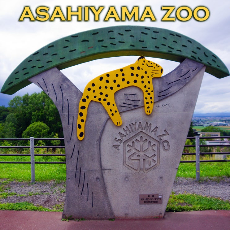 행동전시를 통해 일본 최고 인기동물원으로 거듭난 아사히카와시 아사히야마동물원 : 홋카이도여행