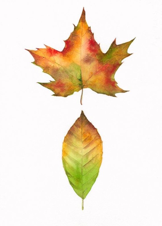 낙엽 가을나뭇잎도안 / 낙엽일러스트Leaves Illustration : 네이버 블로그