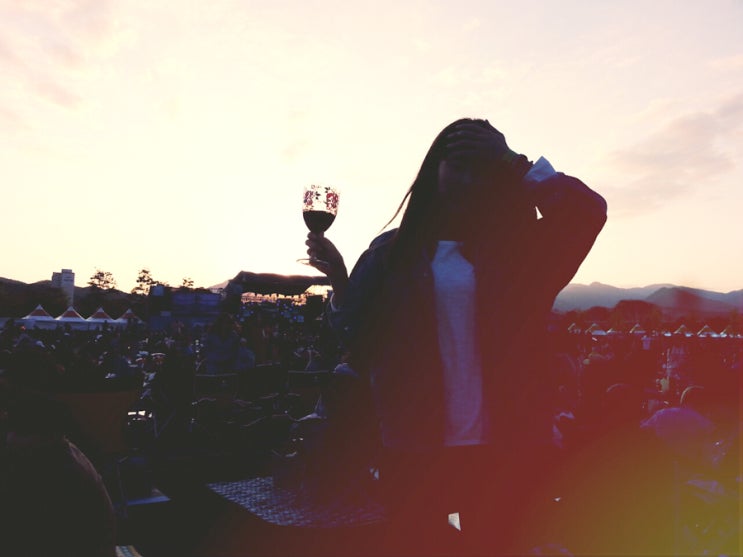  2014 자라섬재즈페스티벌 [자재페,자라섬캠핑,가을축제,가을캠핑,JARASUM JAZZ FESTIVAL,자라섬재즈페스티발]
