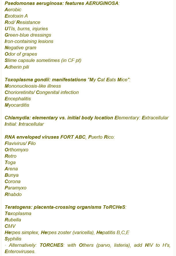 Mnemonics For Microbiology ë„¤ì´ë²„ ë¸